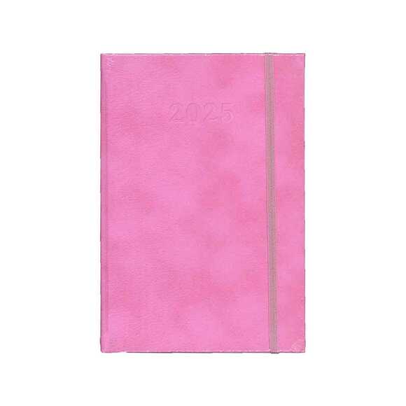 Lizy 2025 Yılı 17x24 Trino Kapak Ajanda 168yp. AJTRN927