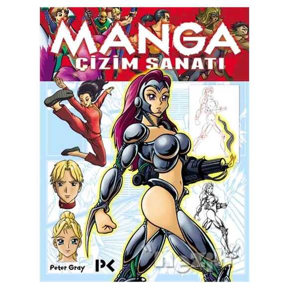 Manga Çizim Sanatı