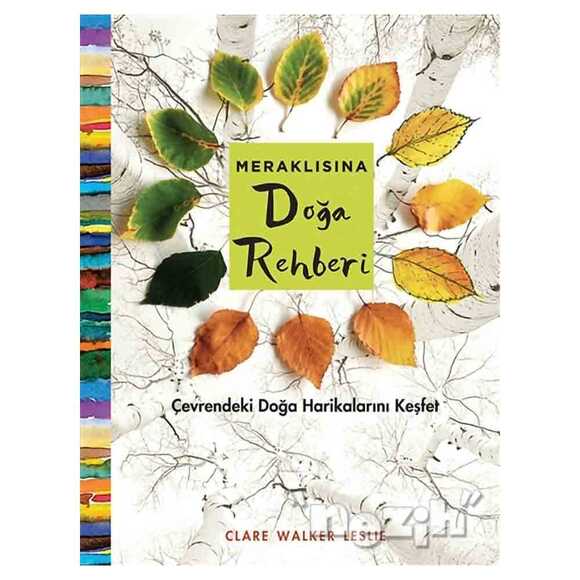 Meraklısına Doğa Rehberi