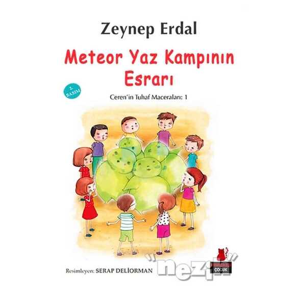 Meteor Yaz Kampının Esrarı