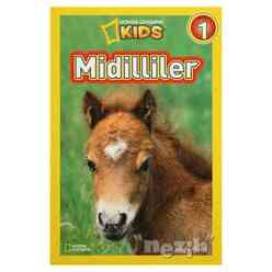 Midilliler - Thumbnail