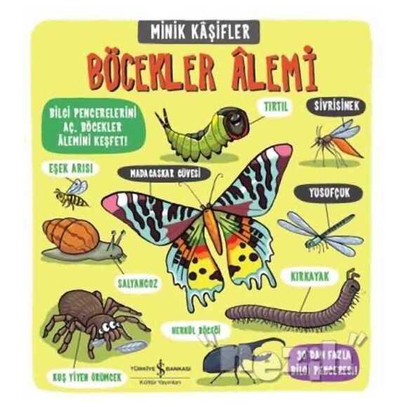 Minik Kaşifler - Böcekler Alemi