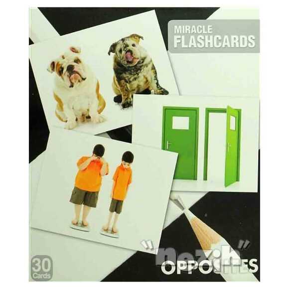 Miracle Flashcards - Opposites