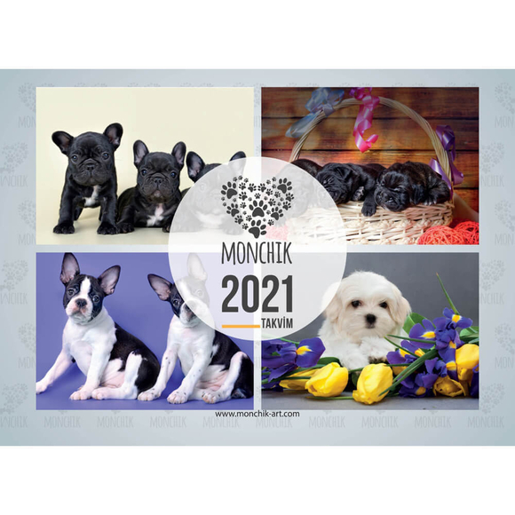 Monchik Köpekli Katlamalı Duvar Takvimi 2021