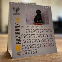 Monchik Köpekli Üçgen Masa Takvimi 2021 - Thumbnail