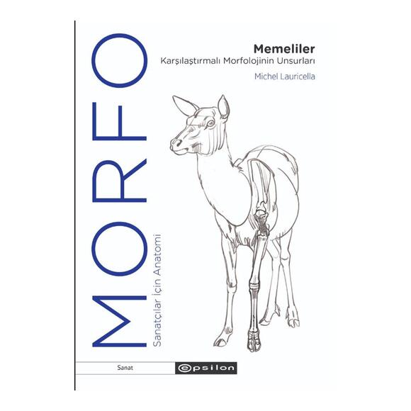 Morfo Memeliler Karşılaştırmalı Morfolojinin Unsurları