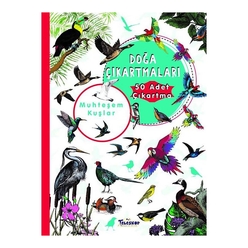 Muhteşem Kuşlar - Doğa Çıkartmaları - Thumbnail