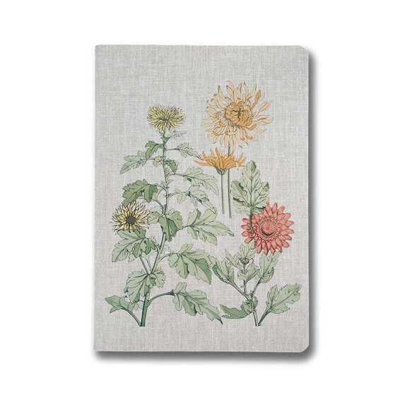 Muus Sewing Plante Chrysanthemum 16x23 64 sayfa Çizgili Defter
