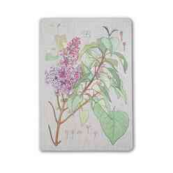 Muus - Muus Sewing Plante Lilac 16x23 64 sayfa Çizgili Defter