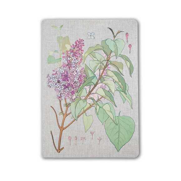 Muus Sewing Plante Lilac 16x23 64 sayfa Çizgili Defter