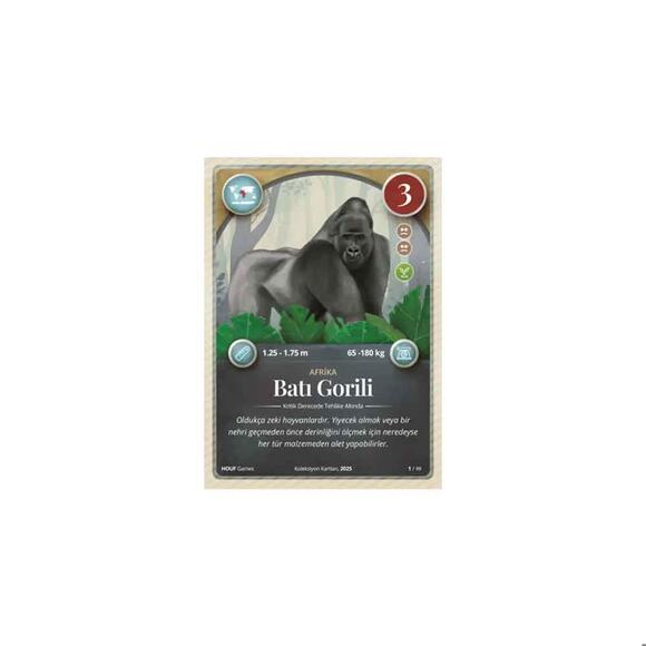 Mythos Animals Hayvan Kartları