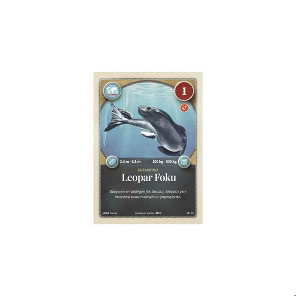 Mythos Animals Hayvan Kartları