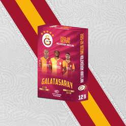 Mythos - Mythos Galatasaray 2025-2026 Sezonu Koleksiyon Kartları Karton Kutu