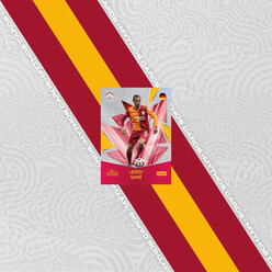 Mythos Galatasaray 2025-2026 Sezonu Koleksiyon Kartları Karton Kutu - Thumbnail