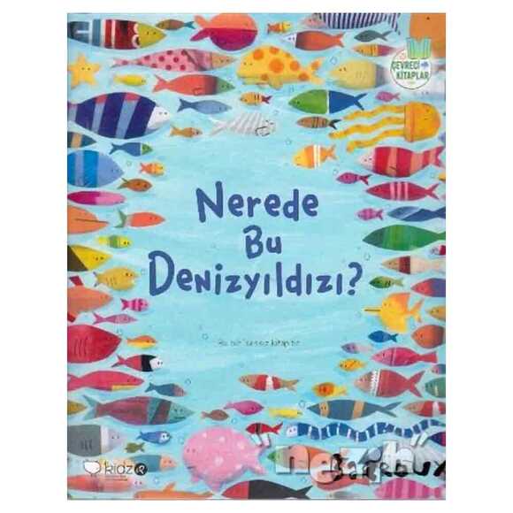 Nerede Bu Denizyıldızı?