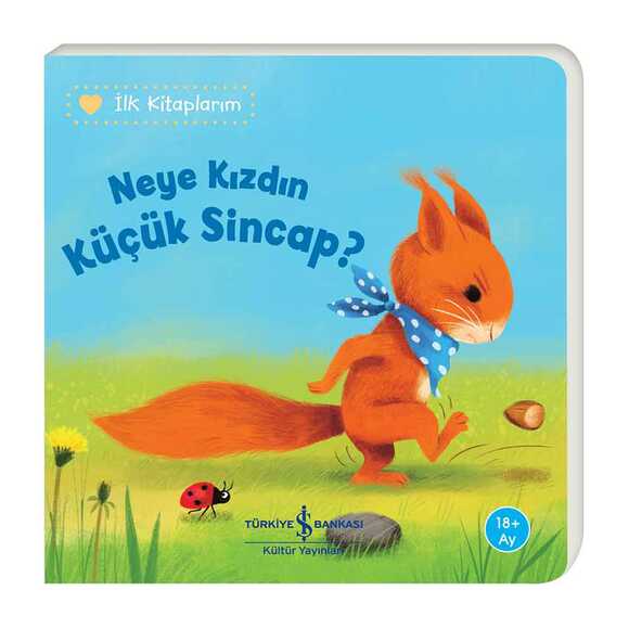 Neye Kızdın Küçük Sincap?