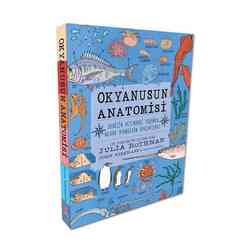 Okyanusun Anatomisi - Thumbnail