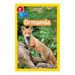 Beta Kids - Ormanda 1. Seviye