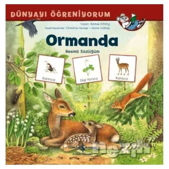 Ormanda - Dünyayı Öğreniyorum