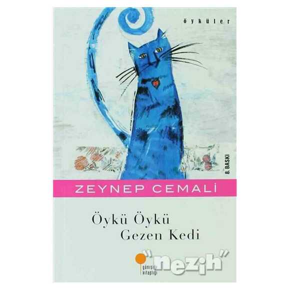 Öykü Öykü Gezen Kedi