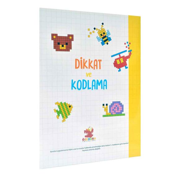 Özüduru  Dikkat Ve Kodlama