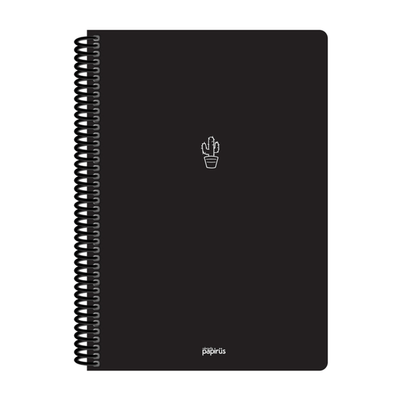 Papirüs Mini Spiralli 17x24cm Pp Kapak 80yp Çizgili Defter