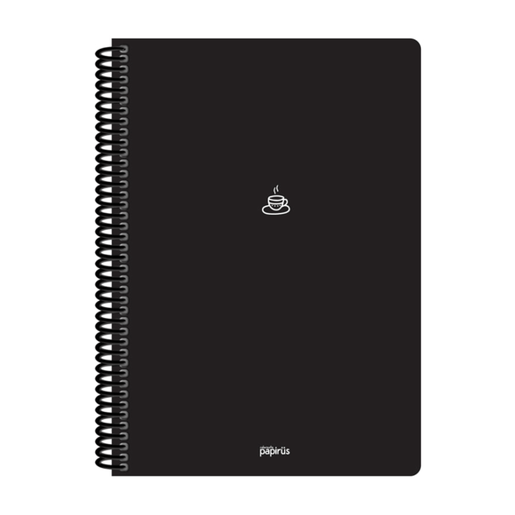 Papirüs Mini Spiralli 17x24cm Pp Kapak 80yp Çizgili Defter