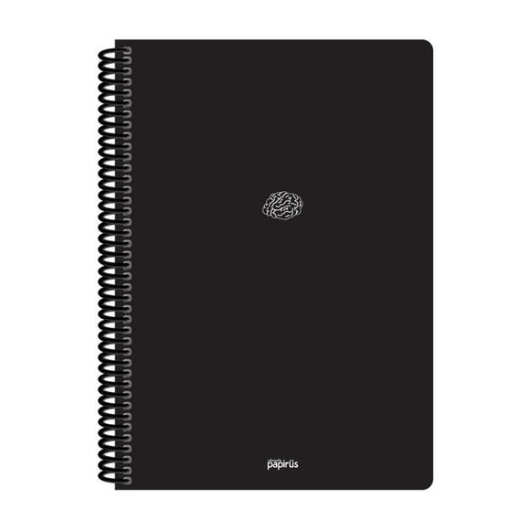 Papirüs Mini Spiralli 17x24cm Pp Kapak 80yp Kareli Defter