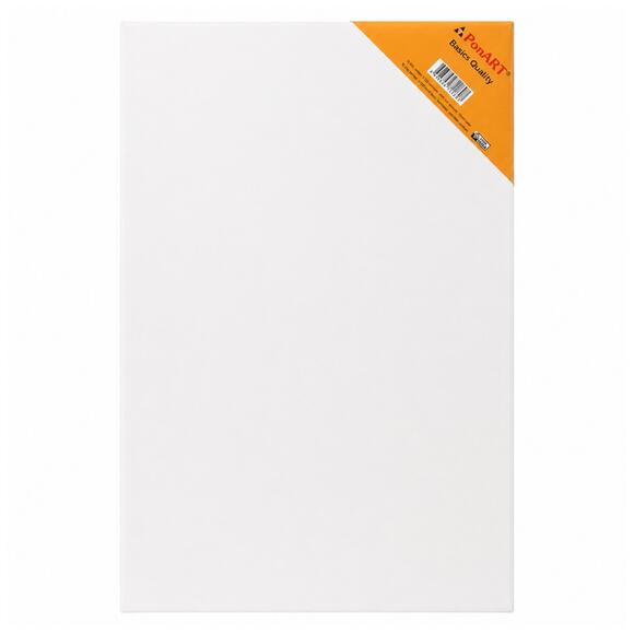 Ponart Basic Tuval 25x35