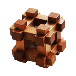 Professor Puzzle Great Minds Darwin’s Chest Ahşap Mini Puzzle - Thumbnail