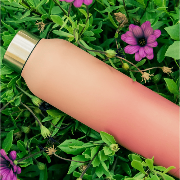 Quokka 4540 Paslanmaz Çelik Matara 630ml