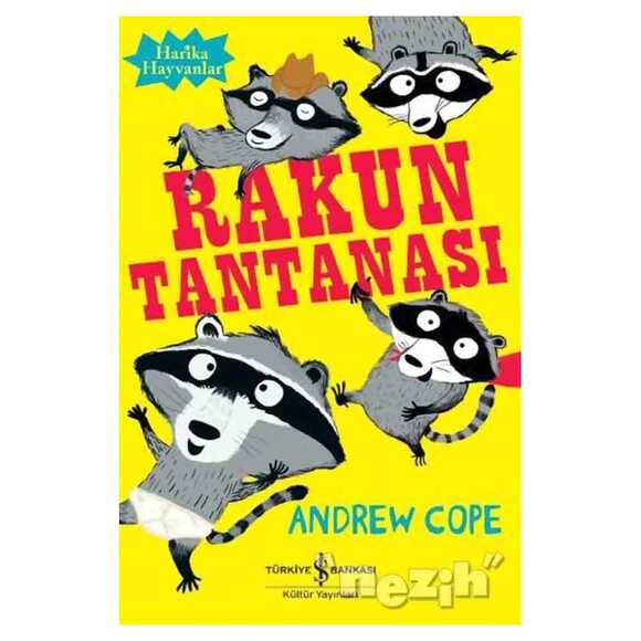 Rakun Tantanası 288910