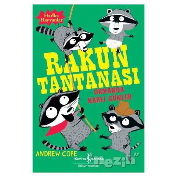 Rakun Tantanası 293495