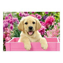 Ravensburger Çocuk Puzzle 2X24 Parçalı Puzzle Friends 50291 - Thumbnail