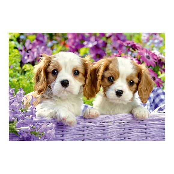 Ravensburger Çocuk Puzzle 2X24 Parçalı Puzzle Friends 50291