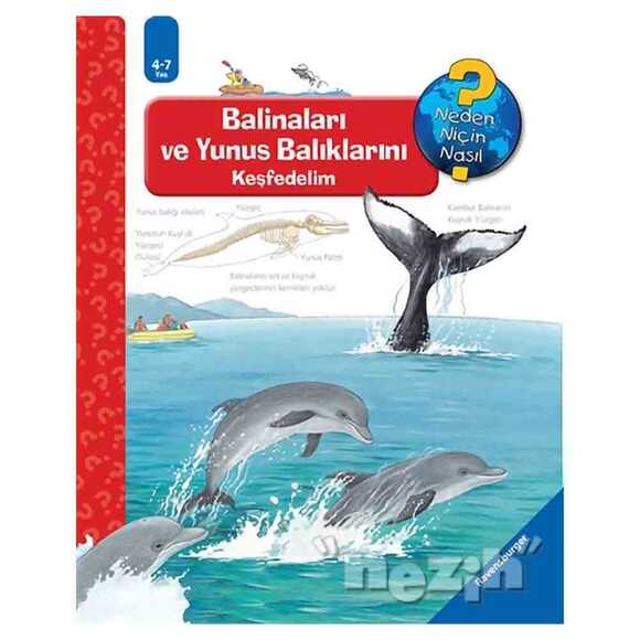 Ravensburger Maksi - Balinaları ve Yunus Balıklarını Keşfedelim