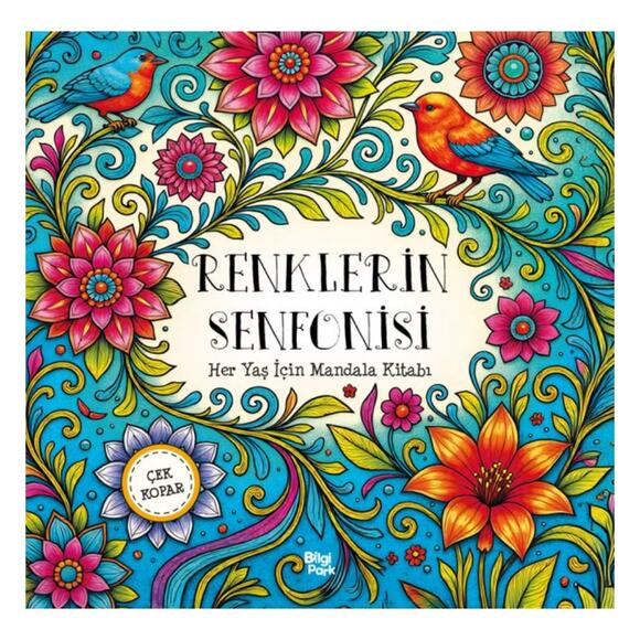 Renklerin Senfonisi - Mandala (Heryaş)