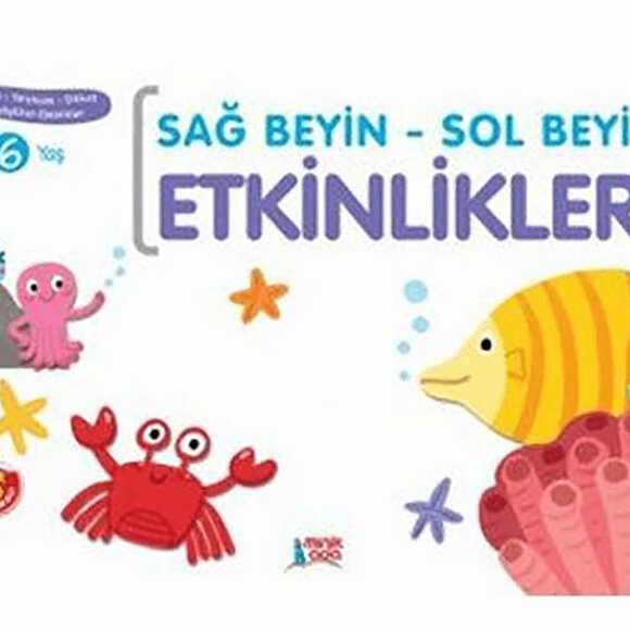 Sağ Sol Beyin Etkinlikleri 6 Yaş