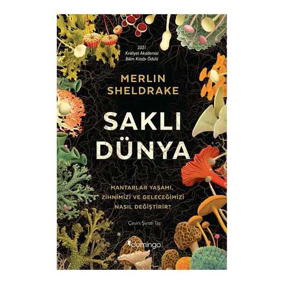 Saklı Dünya