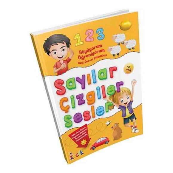 Sayılar Çizgiler Sesler 5+Yaş