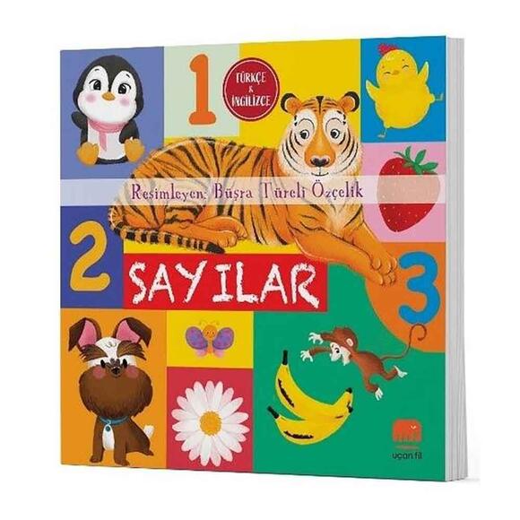 Sayılar - Türkçe İngilizce