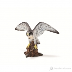 Schleich Alaca Şahin 14633 - Thumbnail