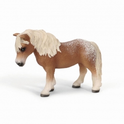 Schleich Falabella Erkek 13688 - Thumbnail