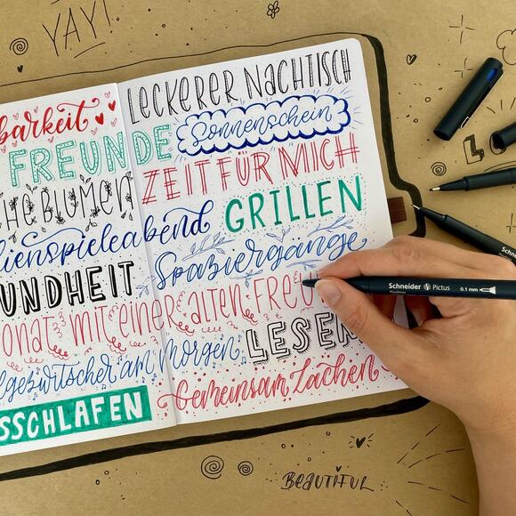 Schneider Pictus Çizim Kalemi 5’li Blister 197595