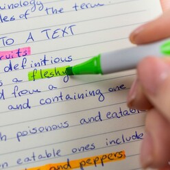 Schneider Shine Up Fosforlu Kalem 4’lü Set 112094 - Thumbnail