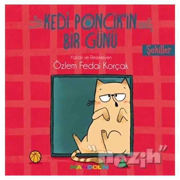 Şekiller - Kedi Ponçik’in Bir Günü