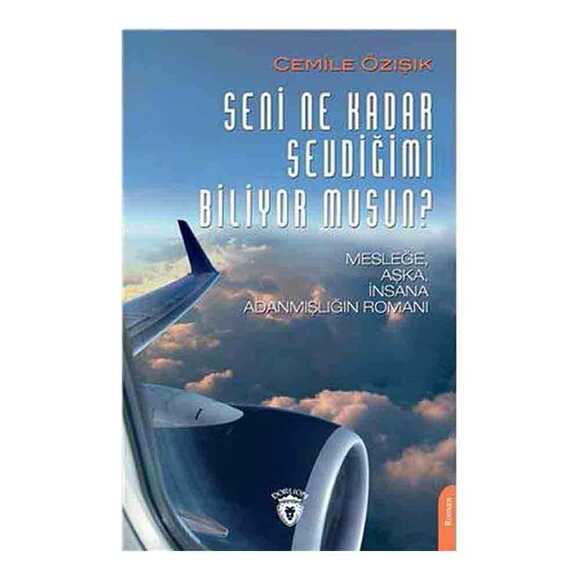 Seni Ne Kadar Sevdiğimi Biliyor musun?