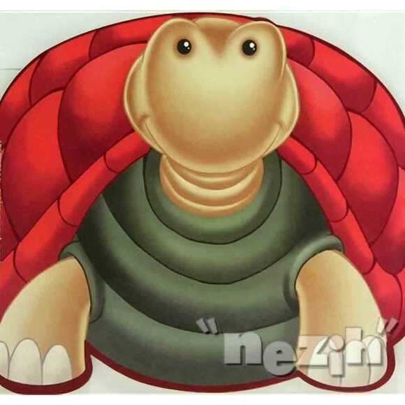 Sevimli Hayvanlar Çıkartmalı Boyama - Kaplumbağa