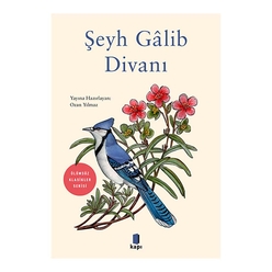 Şeyh Galib Divanı - Thumbnail