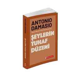 Şeylerin Tuhaf Düzeni - Thumbnail